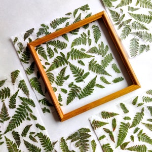 set of 10 handmade paper with real fern leaves image 9