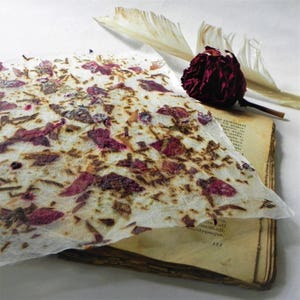 Fiori di rosa petali secchi carta fatta a mano, coni di carta floreale per matrimoni, fogli di carta ecologica