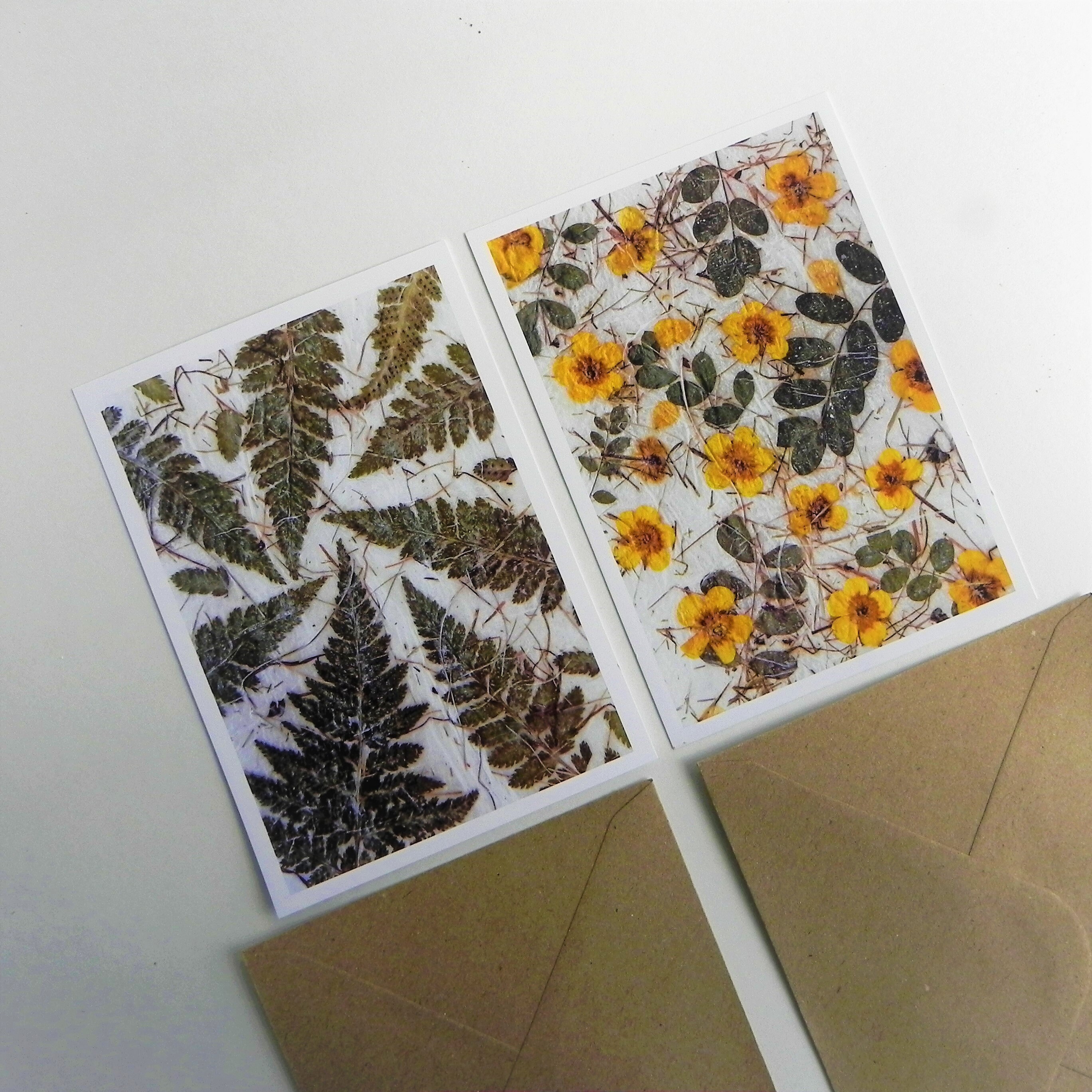 Natur Postkarten Set, gelbe Blume, Farnblatt Druckkarten