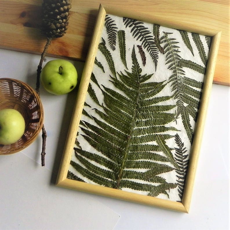 Real fern leaves framed art modern botanical pressed plant Etsy