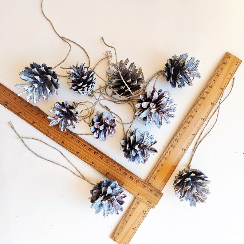 May include: A collection of ten small, frosted pine cones with a rustic, natural look. The cones are tied together with twine and are arranged in a circular pattern.