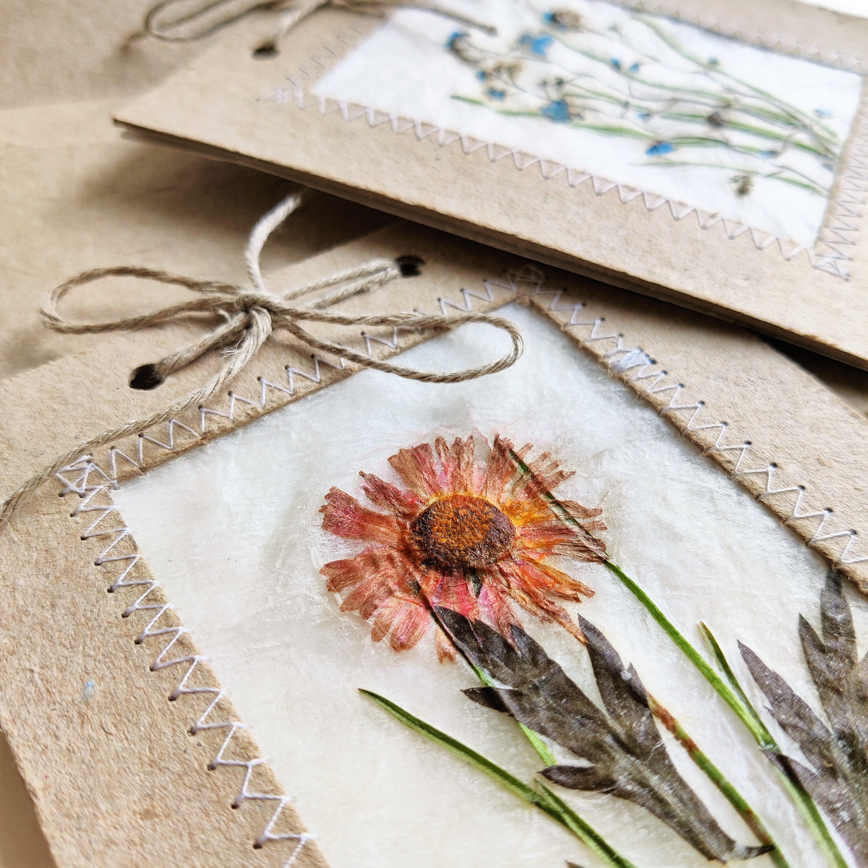 Pressed Flower Card Set of 3: Handmade Botanical Notecards - Etsy