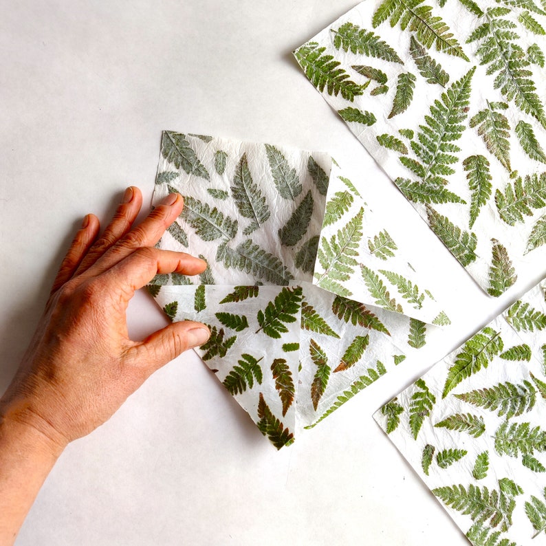 set of 10 handmade paper with real fern leaves image 4