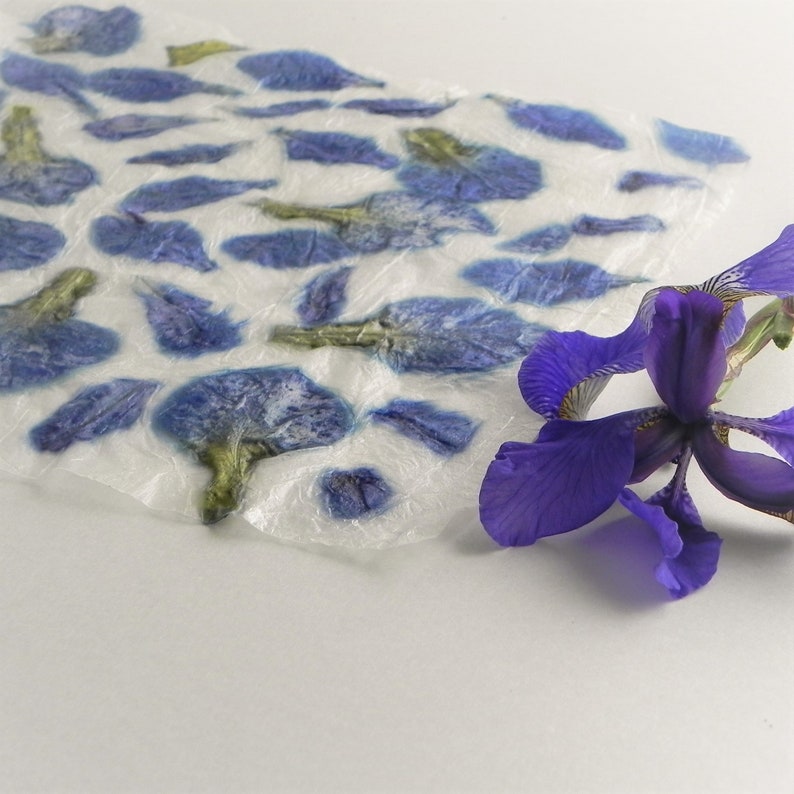 Blue handmade paper with iris flowers petals romantic floral DIY hand made paper image 4