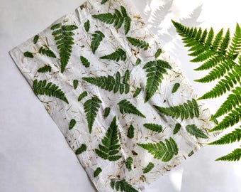 Naturpapier Bogen A4 mit Farn Blatt Naturpapier Bogen