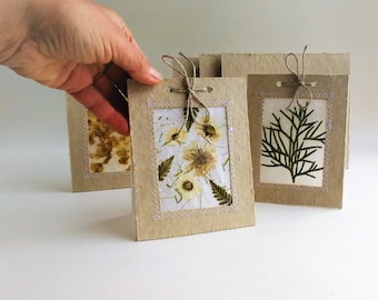 Hand made greeting cards set of 3 with dried flowers and plants All occasions gift cards Salutation notecards