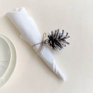 May include: A white linen napkin tied with twine and a dried pine cone.