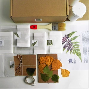 DIY craft kit learn to make paper with pressed leaves image 1