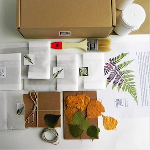 Kit fai da te per imparare a fare la carta con foglie pressate