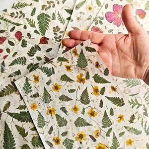 Può includere: Una collezione di fogli di carta fatta a mano con felci verdi essiccate e piccoli fiori gialli incorporati. La carta ruvida color bianco sporco presenta un motivo botanico con varie forme di foglie ed elementi floreali sparsi.