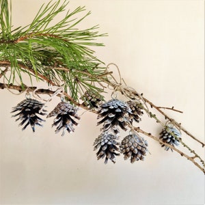 May include: A garland of pine branches with six silver pine cones hanging from it. The pine cones are tied to the branches with twine.