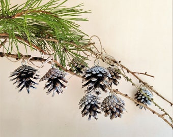 Winter ornaments, White real pinecones with string 10psc, Christmas pine cones, eco friendly Wedding decor