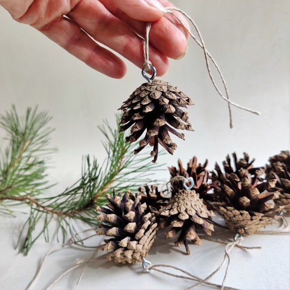 Natural Pine Cone Ornaments 10 Psc Eco Christmas Hanging Decorations 