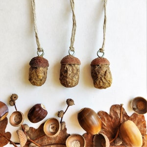 Acorn decorations with natural acorn cap, Fall primitive decor gift
