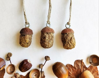 Acorn decorations with natural acorn cap, Fall primitive decor gift