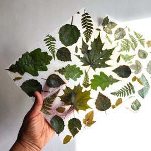 Zelfgemaakte vellen papier met groene geperste bladeren Handgemaakte cadeauverpakking