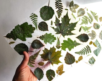 Handmade Paper Sheet with Pressed Green Leaves: Gift Wrap, Scrapbooking