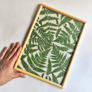 Pressed fern framed wall art decor Nature lover gift image 7