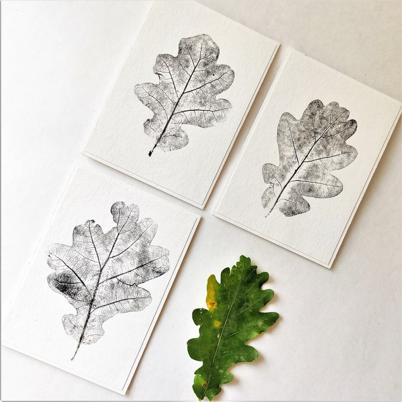 Oak leaf blank card, minimalist botanical black white monoprint set of 3 cards
