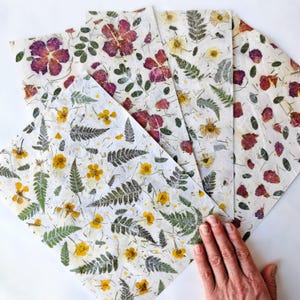 May include: Handmade paper sheets with embedded flowers and foliage. The paper features a variety of pressed flowers in shades of yellow, red, and purple, along with green ferns and leaves. The paper is white and has a natural, textured appearance.