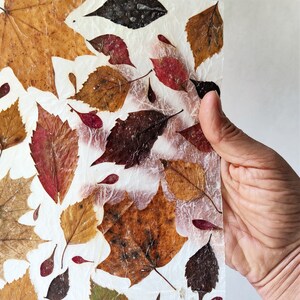 DIY craft kit for adults, papermaking kit with dried fall leaves, gift idea image 8