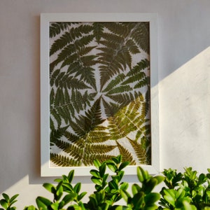 Pressed fern framed wall art decor Nature lover gift image 3