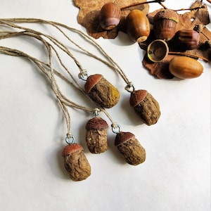 Acorn ornaments set of 5. Woodland decorations. Miniature ornaments.