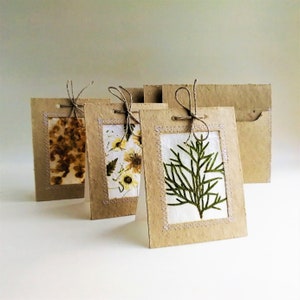 Greeting cards from handmade paper with dried flowers and plants and recycled paper. 
Set of 3 cards and 3 envelopes.
One card: 10 cm. x 13,5 cm. ( 3,93 inch. x 5,31 inch.)
One envelope: 11,5cm. x 16,5cm ( 4,52 inch. x 6,49 inch.)