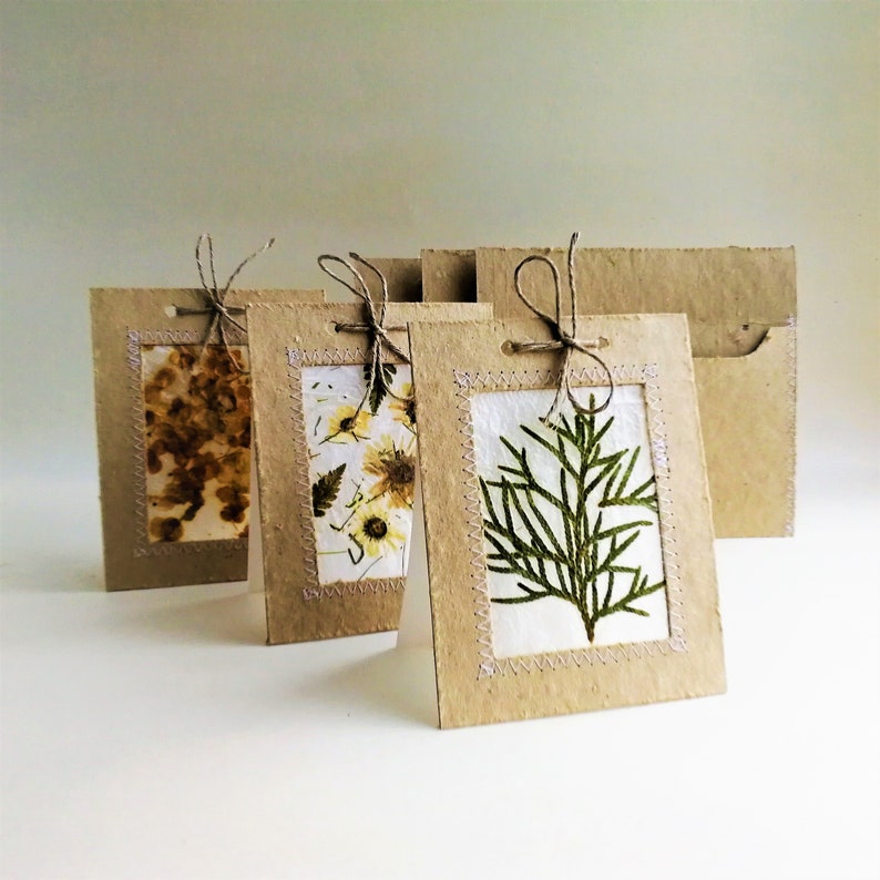 Greeting cards from handmade paper with dried flowers and plants and recycled paper. 
Set of 3 cards and 3 envelopes.
One card: 10 cm. x 13,5 cm. ( 3,93 inch. x 5,31 inch.)
One envelope: 11,5cm. x 16,5cm ( 4,52 inch. x 6,49 inch.)