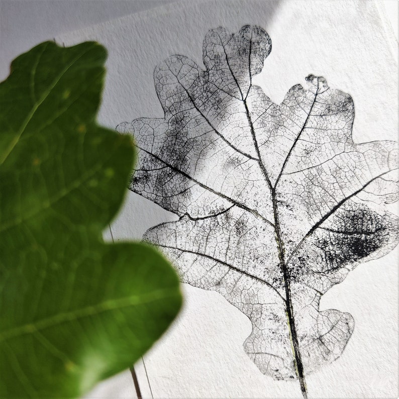 Oak leaf blank card, minimalist botanical black white monoprint image 4