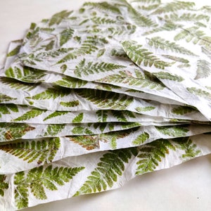 Handmade paper with real fern leaves.