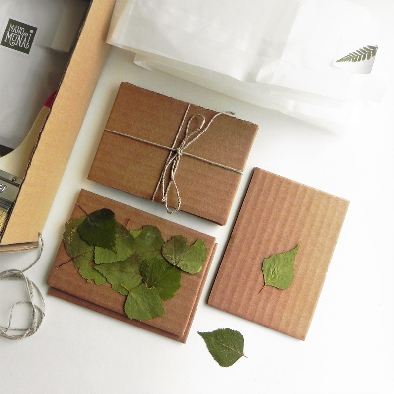 How to make your own paper with real plants, arts and crafts diy kit image 2