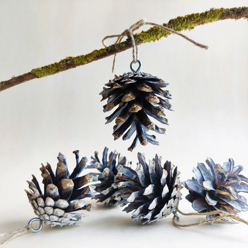May include: Five blue and gold pine cones with a rustic twine string attached to one of the cones. The pine cones are hanging from a branch with moss.