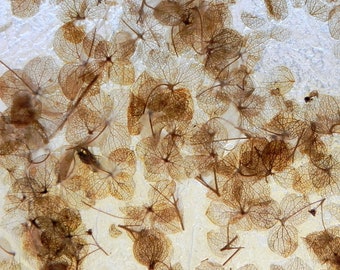 Handmade Paper with Dried Hydrangea: Eco-Friendly Gift Wrap