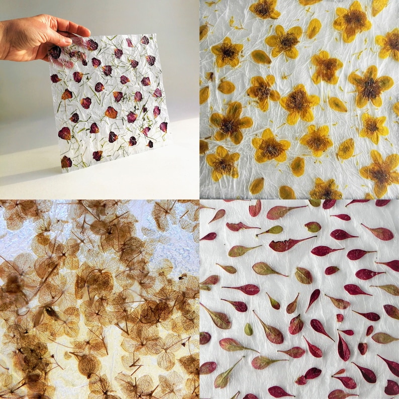 Botanical paper making tutorial DIY kit when you have your own pressed flowers and plants image 6
