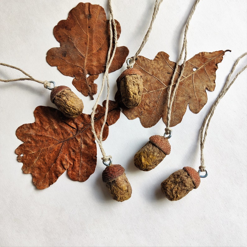 Acorn ornaments set of 5. Woodland decorations. Miniature ornaments.