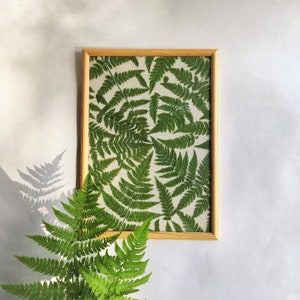 Pressed fern framed wall art decor Nature lover gift Wood frame