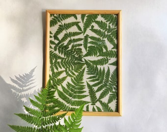 pressed fern leaves framed organic wall art decor