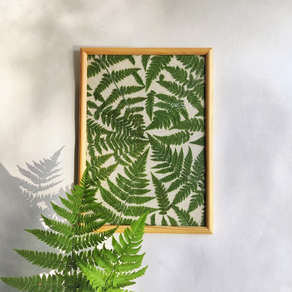 pressed fern leaves framed organic wall art decor