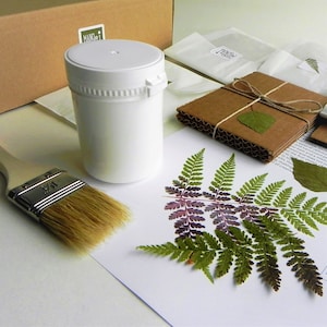 How to make your own paper with real plants, arts and crafts diy kit image 6
