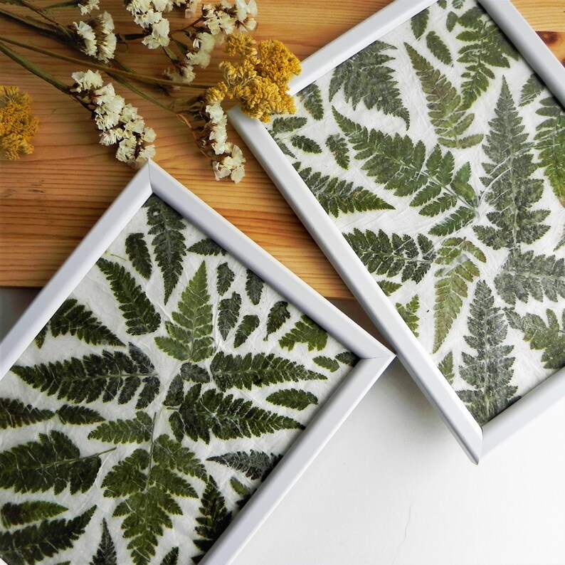 Botanical art fern framed home art plant wall decor | Etsy
