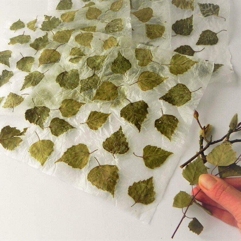 Handmade leaf paper sheets unique gift wrapping idea diy for Etsy