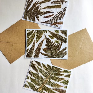 Biglietto di felce pressato, biglietti di carta fatti in casa, set di carte regalo botaniche verdi