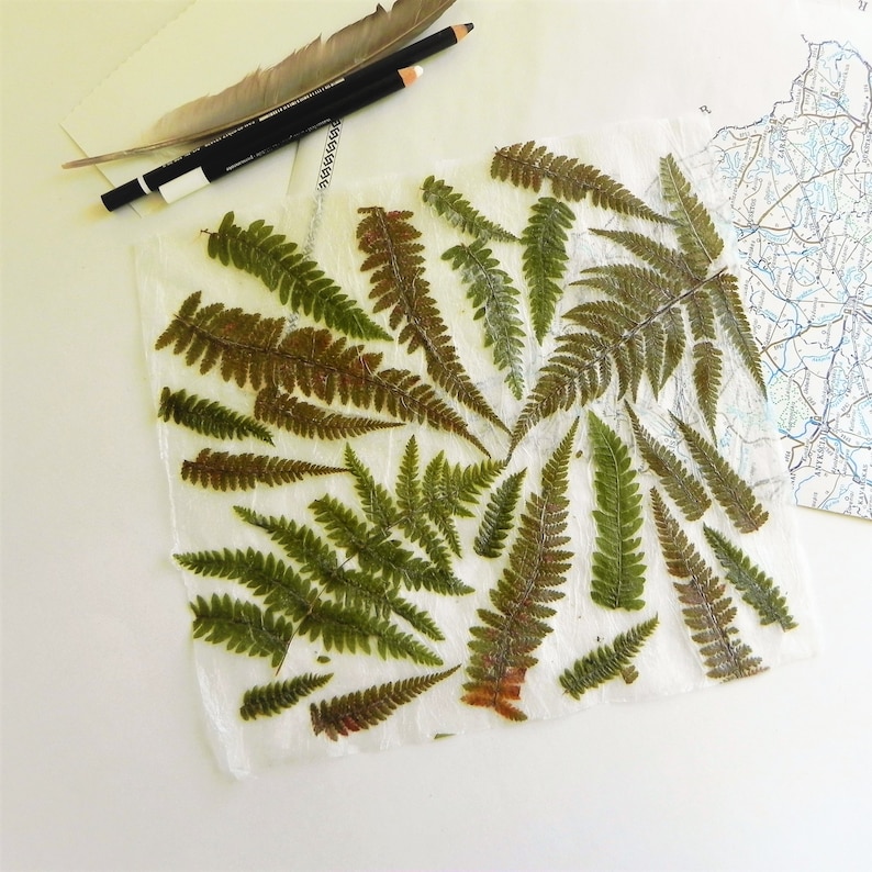 Handmade paper with real fern. Pressed fern decorative paper.