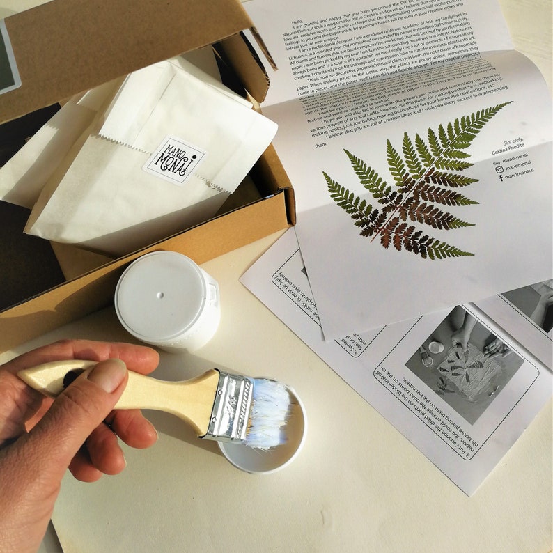 Botanical paper making tutorial DIY kit when you have your own pressed flowers and plants image 1