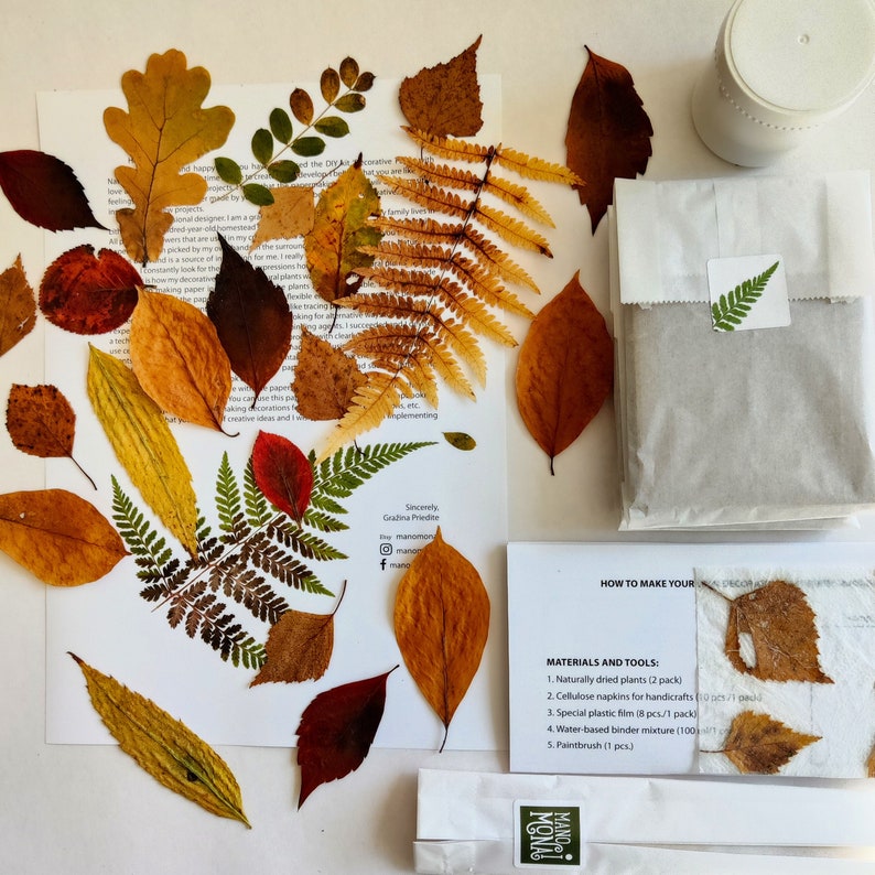 DIY craft kit for adults, papermaking kit with dried fall leaves, gift idea image 9