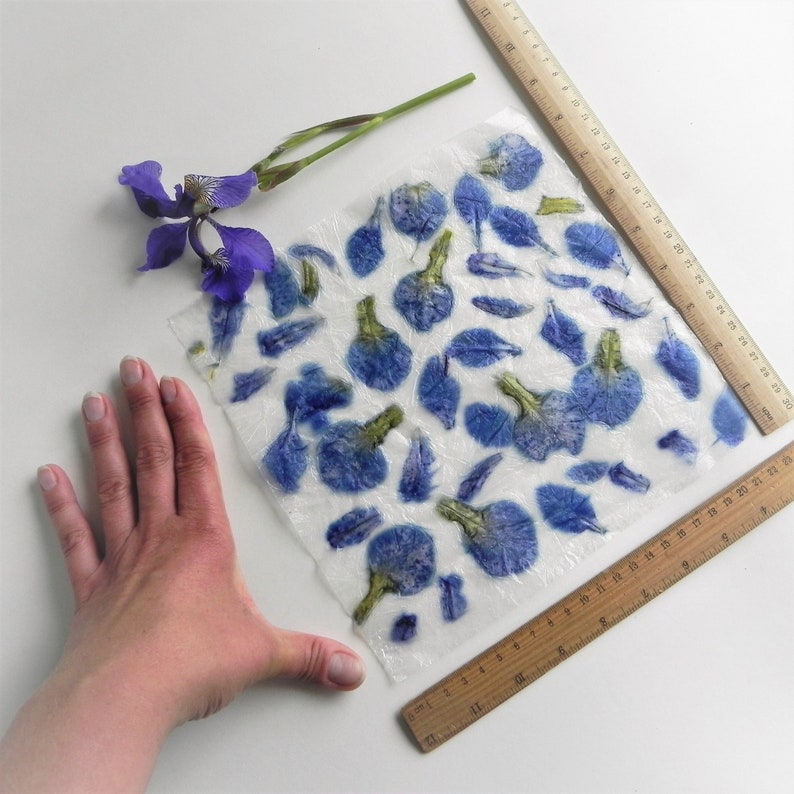 Blue handmade paper with iris flowers petals romantic floral DIY hand made paper image 5