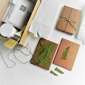 DIY-pakket papier maken met gedroogde varen