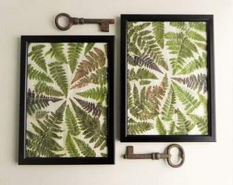 Real pressed fern wall decor set of 2 art in frames, plant rustic art, Couples gift set