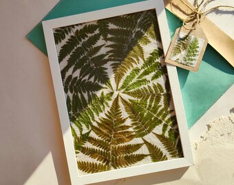 Pressed fern framed wall art decor Nature lover gift